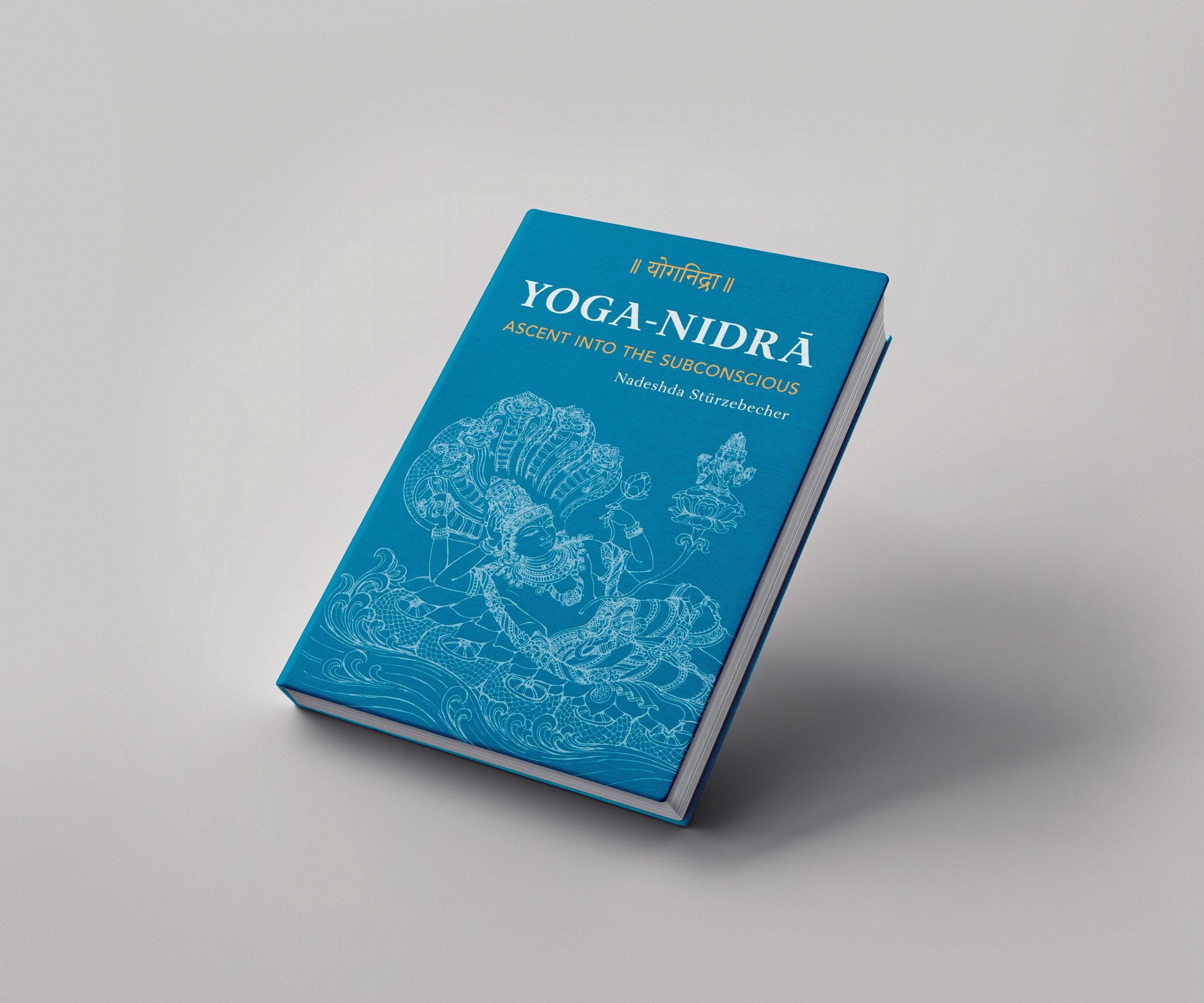 IMG_0300 Yoga Nidra Book News